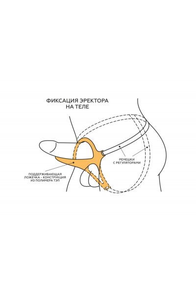 Телесный эректор-ложечка с фиксацией на ремешках MEN STYLE