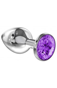 Большая серебристая анальная пробка Diamond Purple Sparkle Large с фиолетовым кристаллом - 8 см.